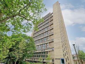 Deluxe One-bedroom Apartment in Poplar