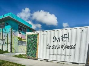 Krymwood Flats Wynwood