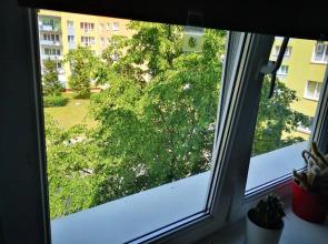 Poza zgiełkiem miasta, a jednak wszystko w zasięgu