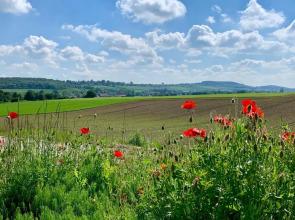 Appartementen De Zegelskoël