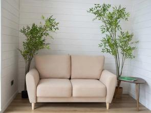 Country house near Sorochany