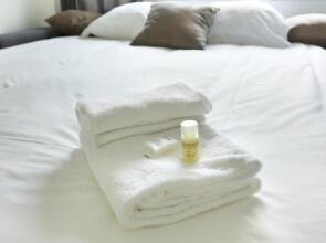 Residence St Dominique - Eiffel Tower(Pierre Villay)