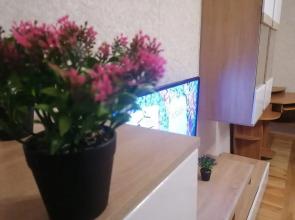 Apartments on Chekhov street 2B