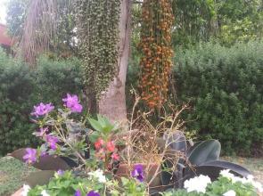 Victoria Palms Inn & Suites