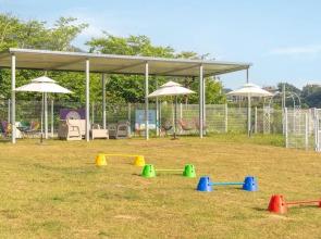 Yeosu Canada meo Village pet Pension