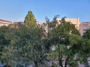 Interno 6 Via Cugia 5