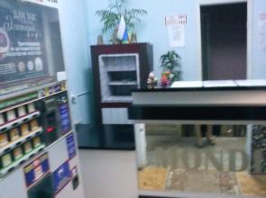 Male Hostel Orkhideya