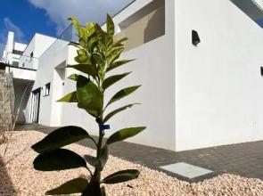 Luxury Villa with Infinity Pool