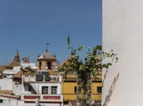 Palacio Jardines De Murillo 1.5.