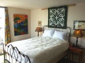 AMSI Pacific Heights One Bedroom Condo (AMSI-SF.PHJT1103)