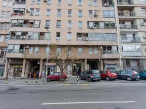 Love Faith Hope Kalemegdan