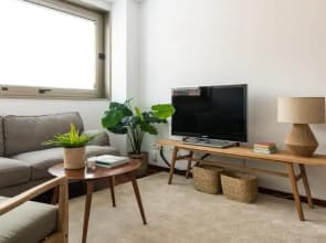 Homing Barcelona 101