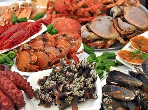 Porto 2 Bed Room Beach Apartment