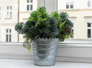 Two Bedroom Apartment Garbary by Renters