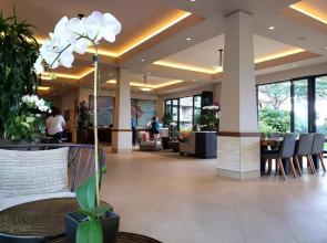 Maui Westside Presents- The Whaler 319