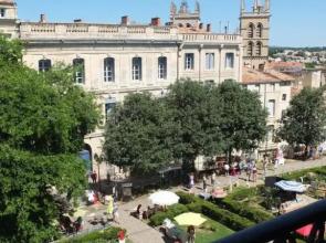 Le Platane de la canourgue