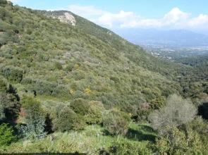 ELI&LOU avec piscine et voiture