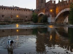 Roccaforte Scaligera