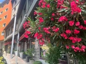 Aparthotel Conseller