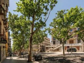 Cozy Flat Plaza Mayor