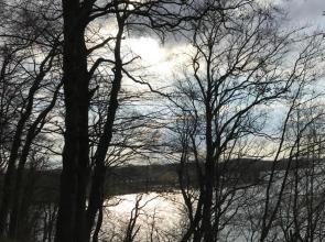 Raben Steinfeld Forststraße 3 Residenzpark