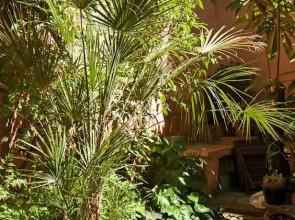 Chambres d'Hôtes Rue de la Paix