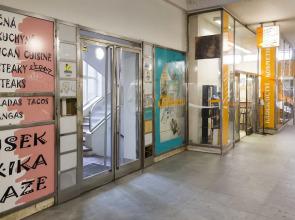 Premier Apartment Wenceslas Square I.