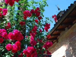 Hotel & Hostel Montarina