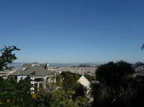 AMSI Buena Vista (AMSI-SF.BVPH0453)