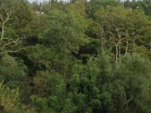 Christina Guest house