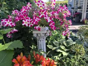 Lovely Mint Garden Studio