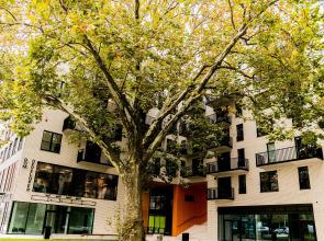 Mojito Apartments - Botanica II