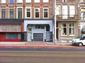 Blue Tulip Amsterdam