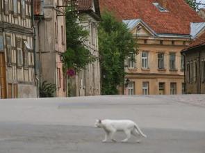 Vintage Anna Apartment