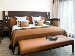 Le Gray D'Albion En Gray D'Albion Lef516