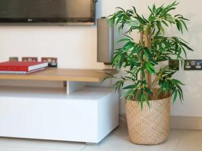 Charming Mews Home For 8 Guests 5 Mins To Angel