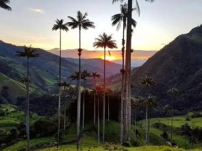 Finca Hotel Boutique La Negrita