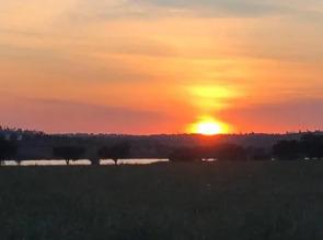 Herdade da Burquilheira