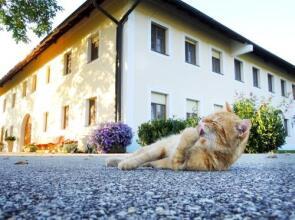 Bauernhofpension Herzog zu Laah