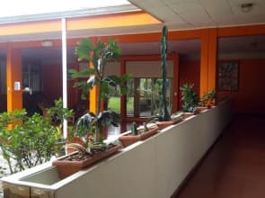 Hotel Arbol Dorado