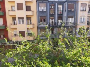 La parada de Conde Aranda 104