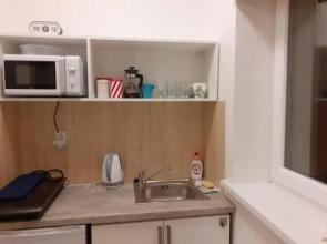 Central Prague Apartment Sokolovska