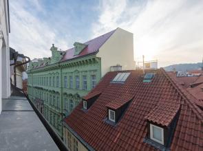 Castle View Spacious Apartment