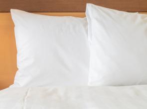 Holiday Inn Express Raleigh Arpt - Brier Crk Area