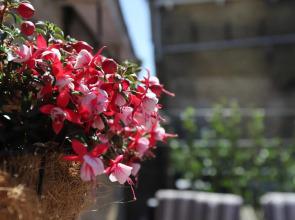 !!!UNIEK!!! Rijksmonument centrum Harlingen