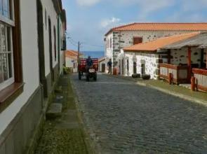 Alojamentos Flores Island