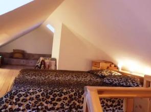 Apartment Volguntes Street