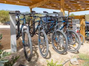 Quinta da Amendoeira - The Farmhouse