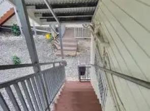 Lynn's Getaway Apartments