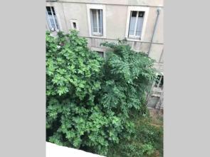 Avignon centre ville appartement T3 meublé 2 chambres